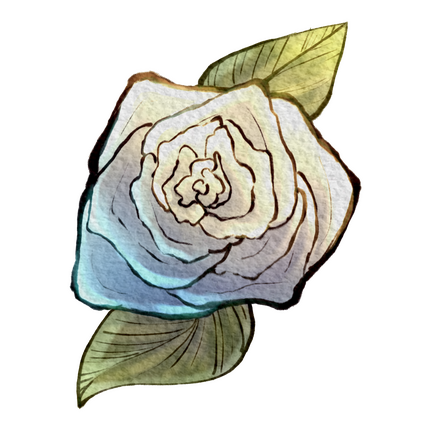 White Rose (2 Sizes)